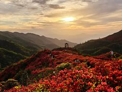 -大围山国家森林公园