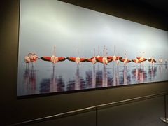 -罗红摄影艺术馆