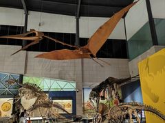 -湖南省地质博物馆