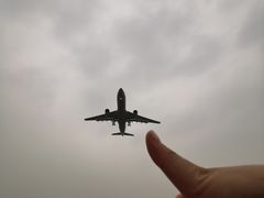 -空港花田景区
