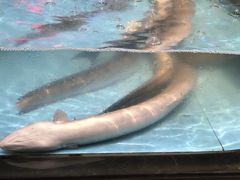 -阿伟海鲜楼·福建菜(延寿店)