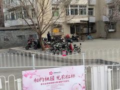 -桃花堤公园