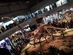 -自贡恐龙博物馆