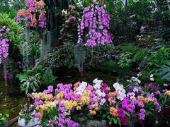 -上海辰山植物园