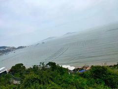 -花竹村
