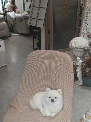 -Touch Nail·品质·美甲美睫