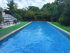 -汪说喵讲宠物乐园宠物酒店(红星美凯龙店)