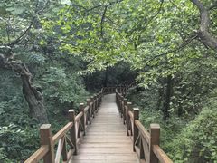 -大岭沟猕猴桃谷风景区