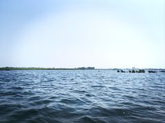 -白洋淀景区
