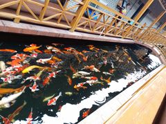 -侠成水上农庄(工业大道店)