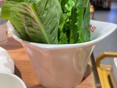 生菜-季季红火锅(长沙步行街店)