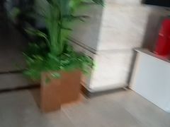 -洛阳宴·洛阳菜(南昌路店)
