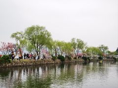 -无锡蠡湖国家湿地公园-蠡园