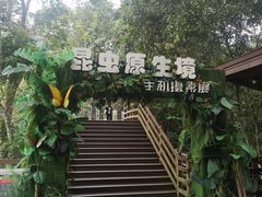 -野象谷景区