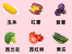 -Fundi张玉珊修身堂·indiba·BTL科技瘦身