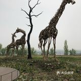 木育森林――倾听大自然的声音
