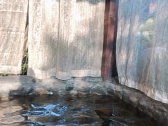 -杭州第一世界大酒店·云曼温泉