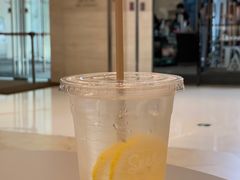 -Seesaw Coffee(上海国金中心店)