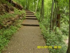 -东天目山风景区