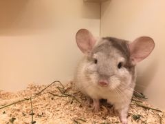 -龙猫仔乐园(惠福东路店)