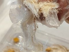 -郴州特产舜华临武鸭(郴州西站店)