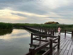 -宁波杭州湾国家湿地公园