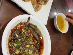 -长平肥姐白粥·海鲜打冷