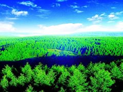 -塞罕坝国家级自然保护区