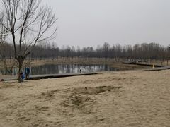 -东郊湿地公园