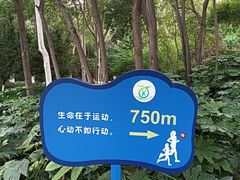 -西安市长乐公园