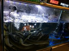 -本炙炭烤·蒲烧活鳗料理店(金沙洲店)