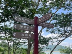 -清溪森林公园