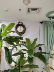 -东方凯丽·美容抗衰会所·菲比店