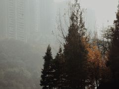 -重庆彩云湖湿地公园
