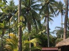 -三亚珠江南田温泉度假区