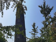 -上海佘山国家森林公园天马山园