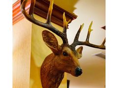 -摩根扒房(桐梓林店)