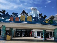 -海合安成都极地海洋公园