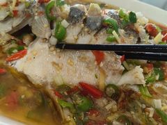 -飞虹鱼馆(春华路店)