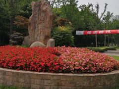 -苏州河梦清园环保主题公园