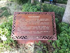 -东莞植物园