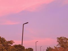 -滨海公园
