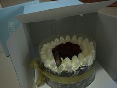 -维尔纳斯·生日蛋糕·动物奶油冰淇淋蛋糕(六里桥店)
