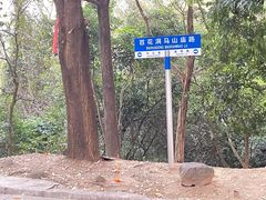-东莞市大岭山森林公园