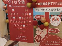 -诗安嘉康月子中心(未来方舟店)