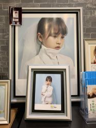 -莫奈庄园·儿童摄影馆·影视基地(江宁店)