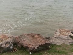 -苏州湾体育公园
