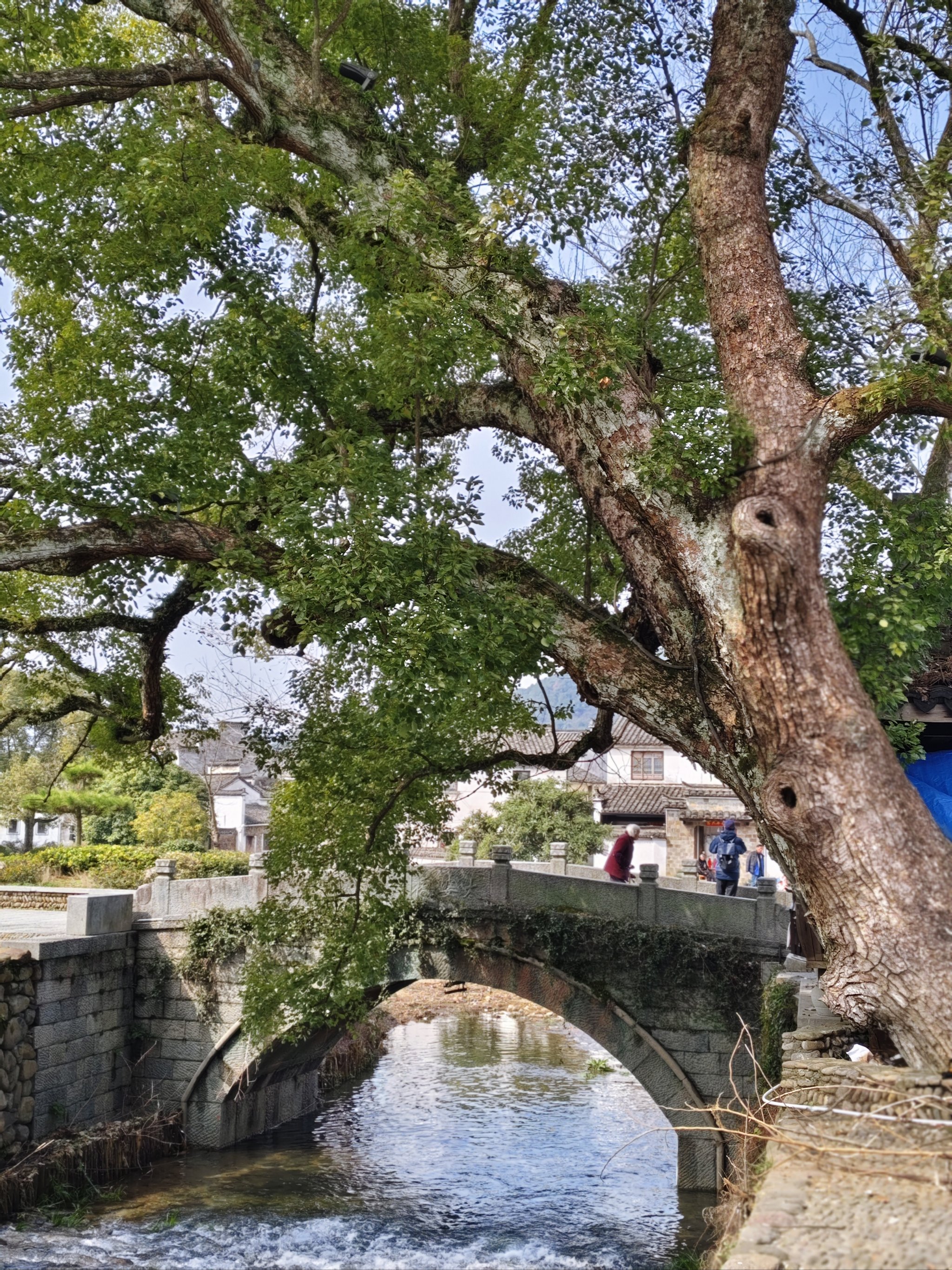 杭州龙门古镇景点介绍图片