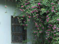 -苏州姑苏小院·东花里酒店