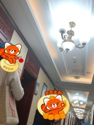 -南京医科大学友谊整形外科医院